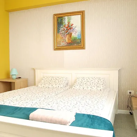 City Home Timisoara Apartment Timisoara