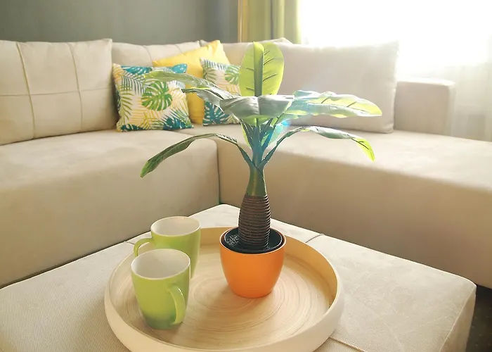 City Home Timisoara * Timişoara