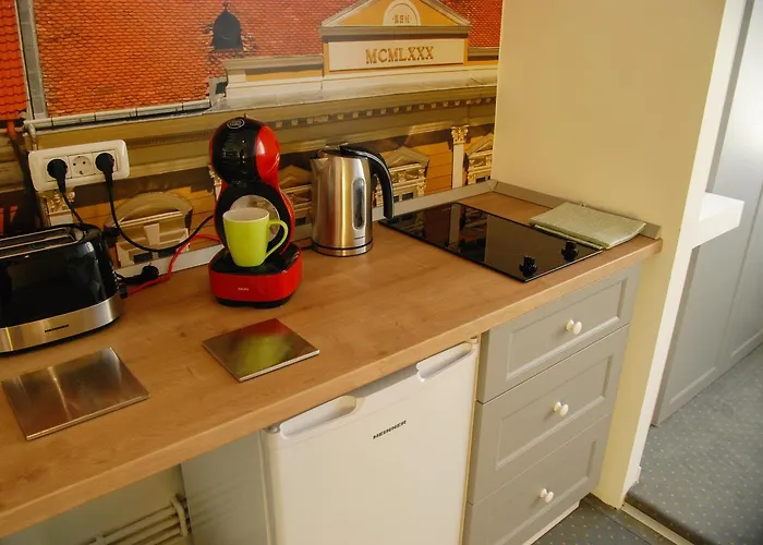 Appartement City Home Timisoara *