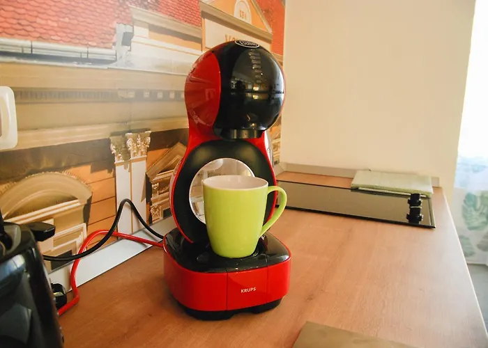 City Home Timisoara * טימישוארה